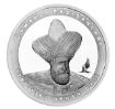Изображение Орхан Гази Серебряная монета серии Османских султанов