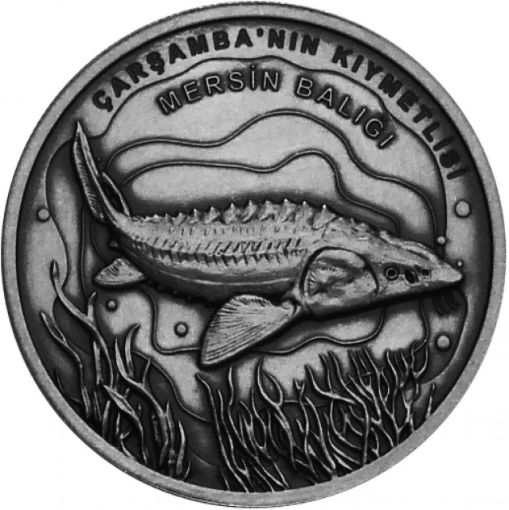 Picture of Silver coin Sturgeon